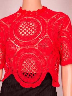Red Crochet Top in Tops