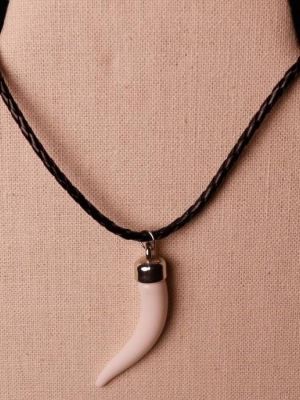 White Saber Tooth Necklace in Jewelry